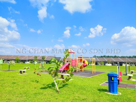 Terrace House for Auction