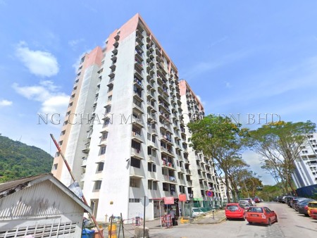 Flat For Auction at Taman Terubong Jaya