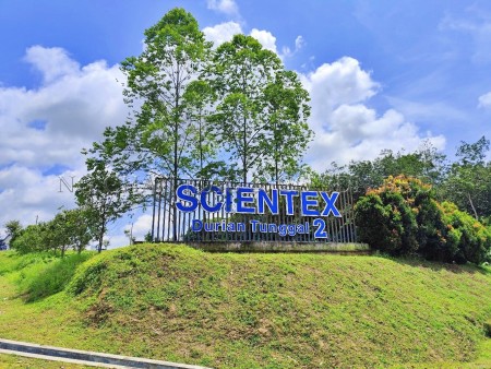 Terrace House for Auction