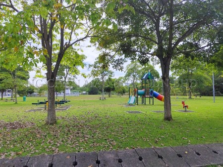 Terrace House for Auction