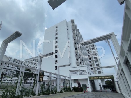 SOHO For Auction at The Stallionz