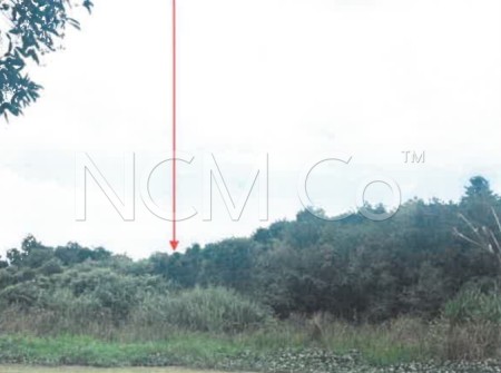 Agriculture Land For Auction at Bachok