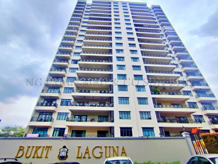 Condo For Auction at Laguna Heights