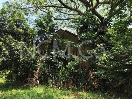 Bungalow House For Auction at Country Heights Kajang