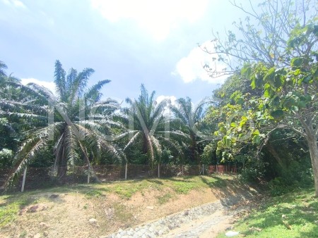 Residential Land For Auction at Durian Tunggal