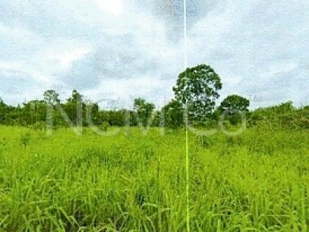 Agriculture Land For Auction at Segamat