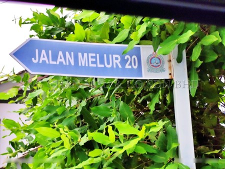 Terrace House for Auction