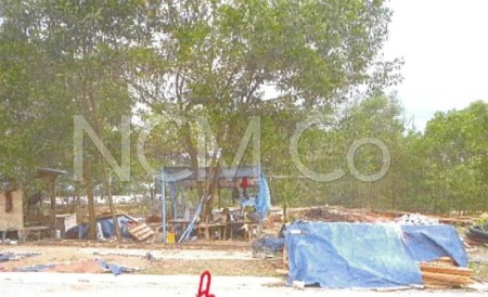 Terrace House For Auction at Green Street Homes