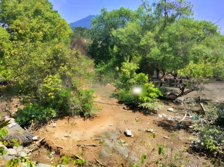 Agriculture Land For Auction at Kuah