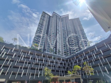 SOHO For Auction at Kenwingston Square Garden