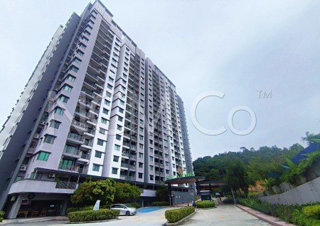 Condo for Auction