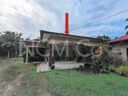 Agriculture Land For Auction at Sri Gading