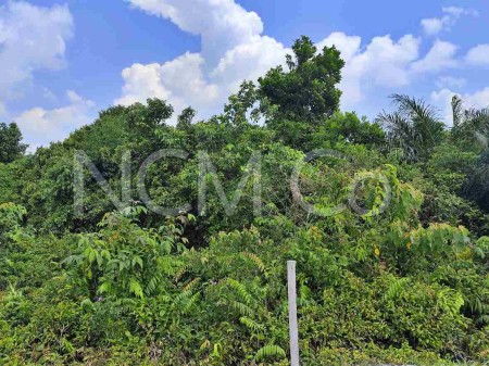 Agriculture Land For Auction at Kampong Bukit Changgang