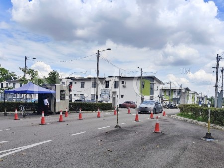 Terrace House for Auction