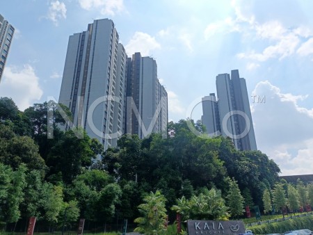 Condo For Auction at KAIA Heights @ Equine Park