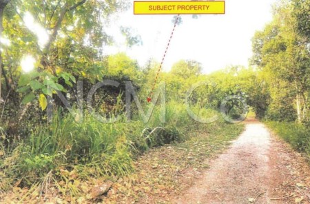 Residential Land For Auction at Taman Kempas