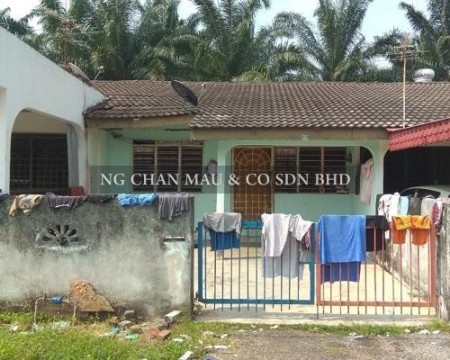 Terrace House for Auction