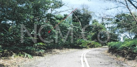 Residential Land for Auction