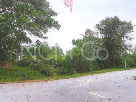Residential Land for Auction