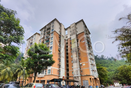 Condo For Auction at Tiara Intan