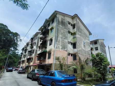 Apartment for Auction