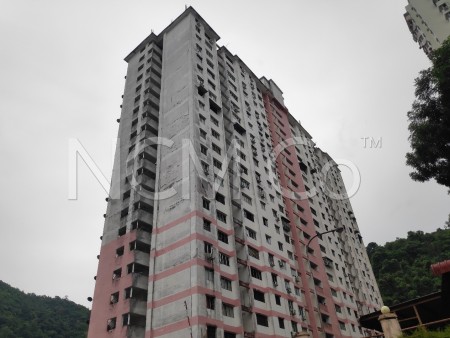 Flat For Auction at Greenlane Heights