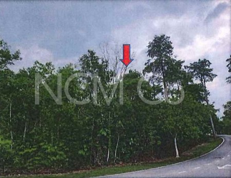Residential Land For Auction at College Heights Garden Resort