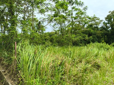 Residential Land For Sale at Jenderam Hulu