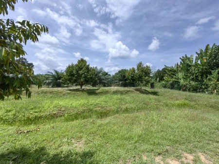 Agriculture Land For Sale at Karak