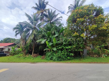 Residential Land For Auction at Kampung Sungai Buah