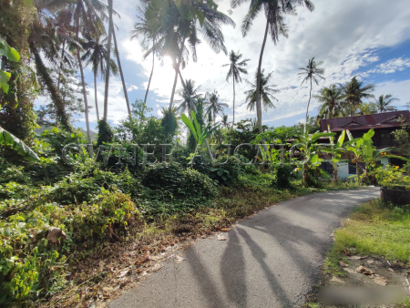 Residential Land For Auction at Pulau Betong