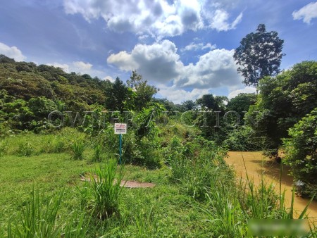 Agriculture Land For Auction at Kuala Lipis