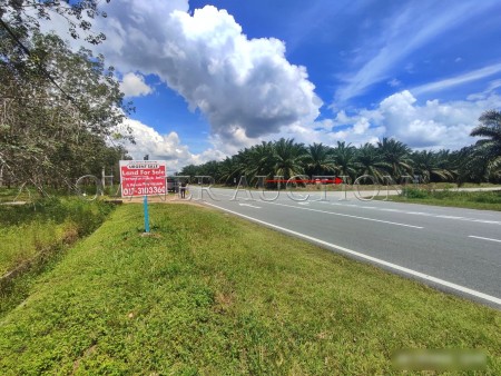 Agriculture Land For Auction at Padang Terap