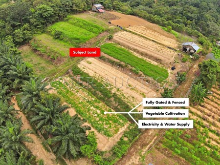 Agriculture Land For Auction at Bukit Cerakah