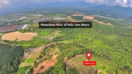 Agriculture Land For Auction at Ulu Yam