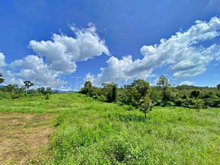Agriculture Land For Auction at Lanchang