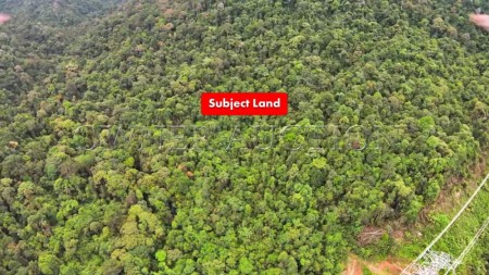 Agriculture Land For Auction at Kalumpang