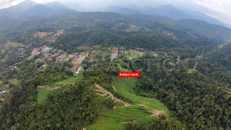 Agriculture Land For Auction at Janda Baik