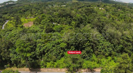 Residential Land For Auction at Mantin