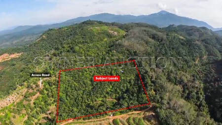 Agriculture Land For Auction at Batu Kurau