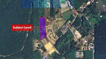 Agriculture Land For Auction at Labu