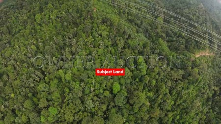 Agriculture Land For Auction at Hulu Selangor