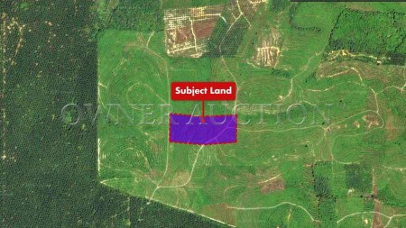 Agriculture Land For Auction at Bentong