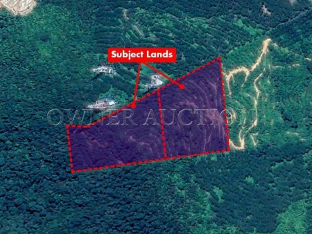 Agriculture Land For Auction at Bahau