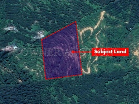 Agriculture Land For Auction at Bahau