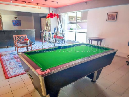 Penthouse for Auction