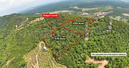 Agriculture Land For Auction at Bahau