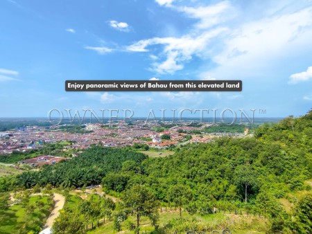 Agriculture Land For Auction at Bahau