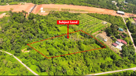 Agriculture Land For Auction at Raub