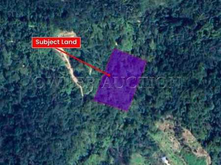 Residential Land For Auction at Kemensah
